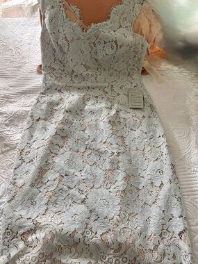 Eliza J Blush Satin Lined Dress